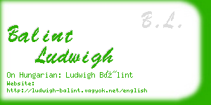 balint ludwigh business card